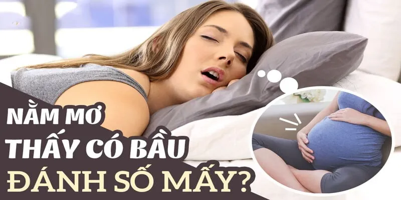 Các con số may mắn khi mơ thấy bầu bạn nên biết