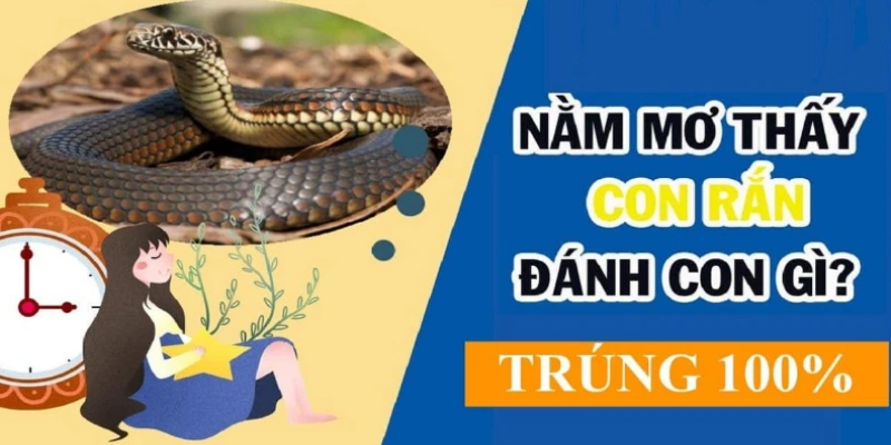 Nằm mơ thấy rắn đánh con gì